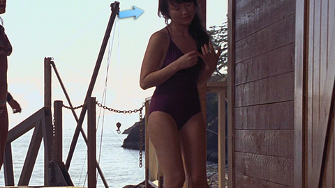 Pic: Emily Browning in The Uninvited