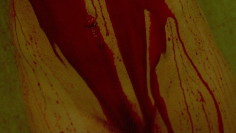 Pic: Diane Foster in The Orphan Killer