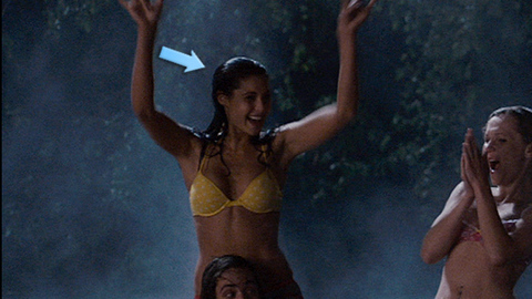 Pic: Lindsay Schoneweis in Fired Up (2009)