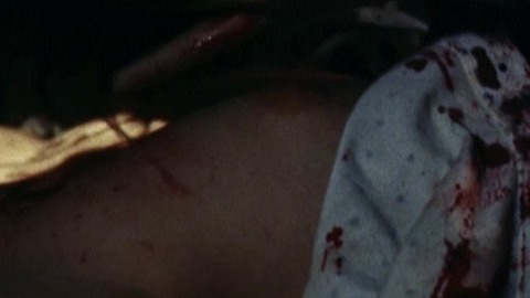 Pic: Elvira Deatcu in Bloodlust: Subspecies III (1993)