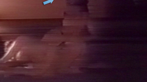 Pic: Tamara Donnellan in Lake Mungo