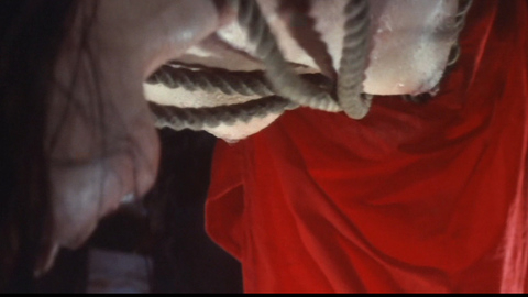 Pic: Hitomi Kozue in Naked Rashomon