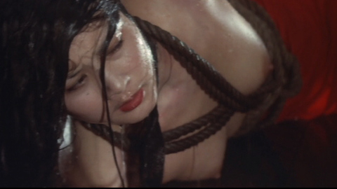 Pic: Hitomi Kozue in Naked Rashomon