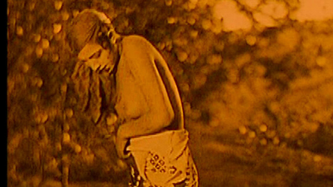 Pic: Josephine Baker in Siren of the Tropics