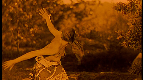 Pic: Josephine Baker in Siren of the Tropics