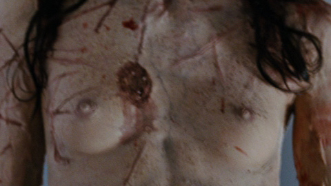Pic: Emilie Miskdjian in Martyrs