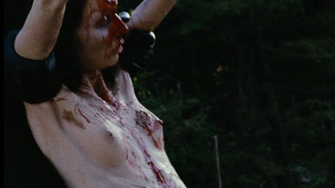 Pic: Emilie Miskdjian in Martyrs