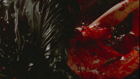 Pic: Nara Sakarê in Embodiment of Evil (2008)