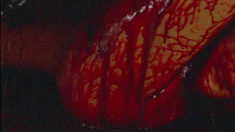 Pic: Nara Sakarê in Embodiment of Evil