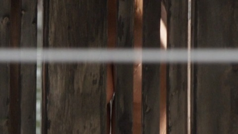 Pic: Isabel Lucas in Careful What You Wish For