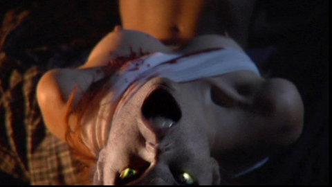 Pic: Vanessa James in Dark Rising