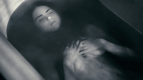 Pic: Lily Cole in The Moth Diaries