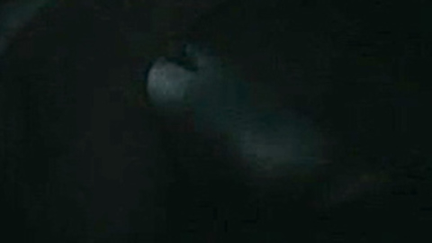 Pic: Winter Ave Zoli in The Pagan Queen