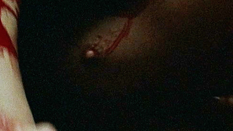 Pic: Louise Bourgoin in White Snow