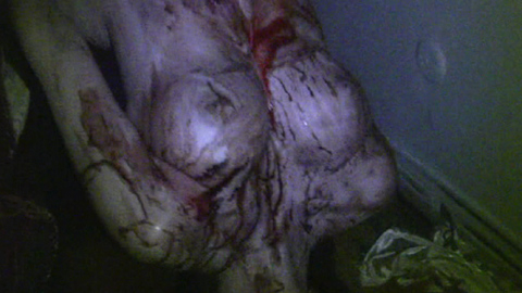 Pic: Erin Marie Hogan in Paranormal Entity