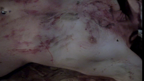 Pic: Holly Ilyne Sari in Satanic Panic