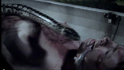 Pic: Holly Ilyne Sari in Satanic Panic