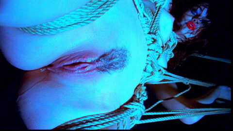 Pic: Faith Leon in High Strung Women