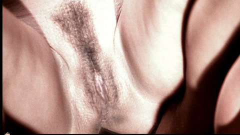 Pic: Dahlia Grey in High Strung Women