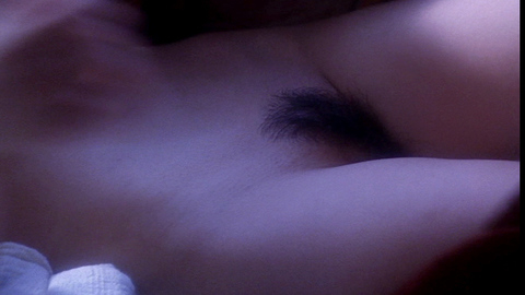 Pic: Hikaru Wakana in The Forbidden Legend: Sex & Chopsticks