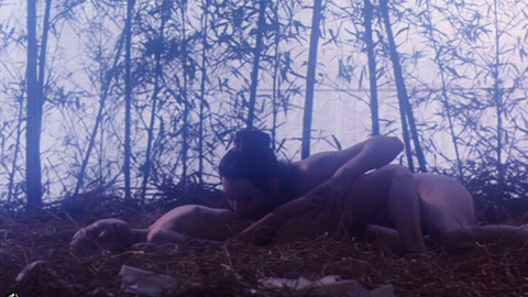 Pic: Hikaru Wakana in The Forbidden Legend: Sex & Chopsticks