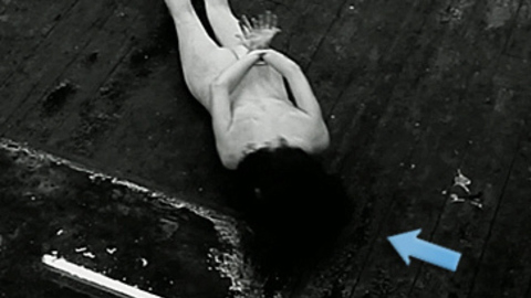 Pic: Ashlynn Yennie in The Human Centipede II