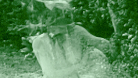 Pic: Margaret Edwards in Hypocrites