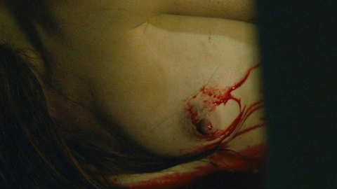 Pic: Nicole LaLiberte in Girls Against Boys