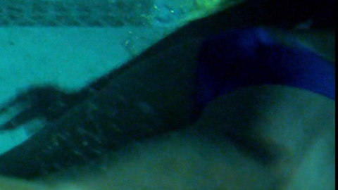 Pic: Leven Rambin in Chasing Mavericks
