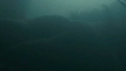 Pic: Danielle Panabaker in Piranha 3DD