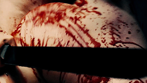 Pic: Ana Sakić in A Serbian Film