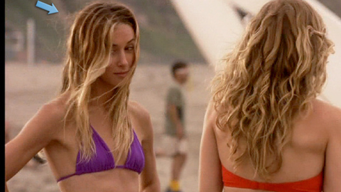 Pic: Gillian Zinser in 90210