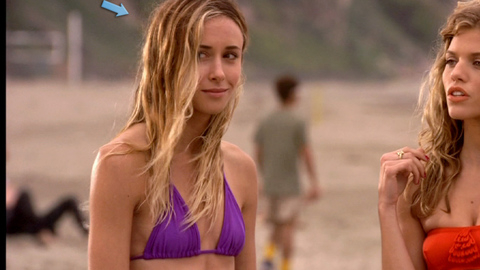 Pic: Gillian Zinser in 90210