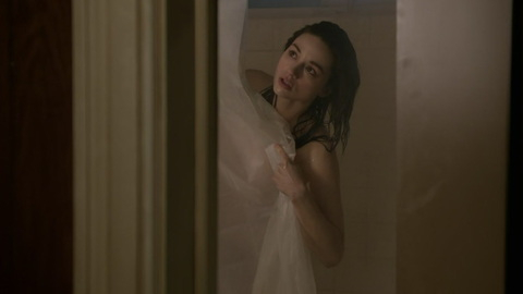 Pic: Crystal Reed in Teen Wolf