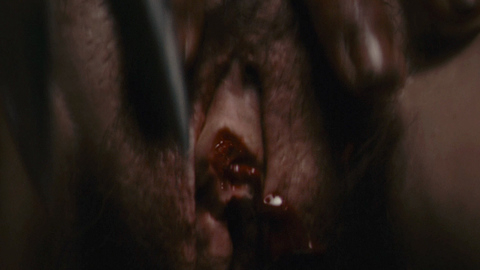 Pic: Mandy Starship in Antichrist