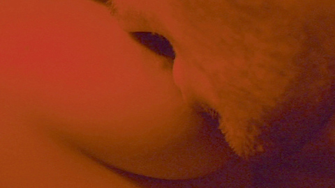 Pic: Monia Chokri in Heartbeats