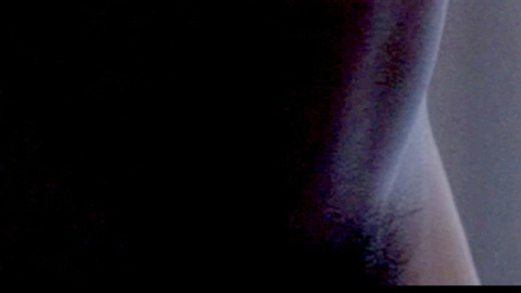 Pic: Traci Dinwiddie in Elena Undone