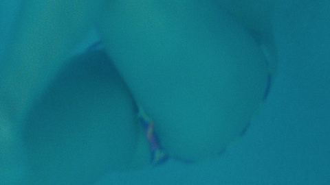 Pic: Vanessa Hudgens in Spring Breakers