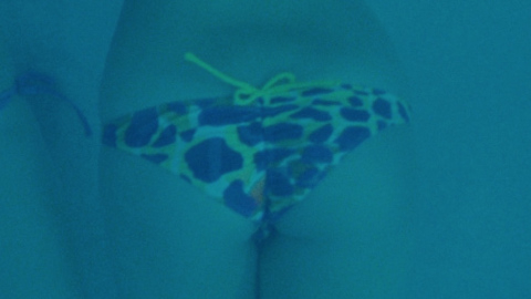 Pic: Vanessa Hudgens in Spring Breakers