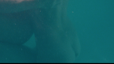 Pic: Vanessa Hudgens in Spring Breakers