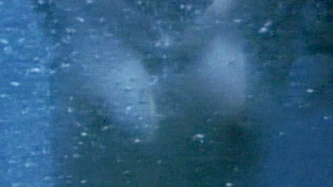 Pic: Maria Lamor in Star Knight