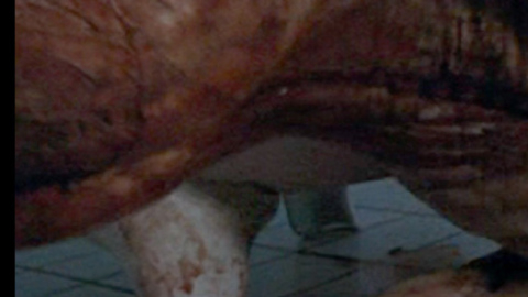 Pic: Isabelle Chasse in Martyrs