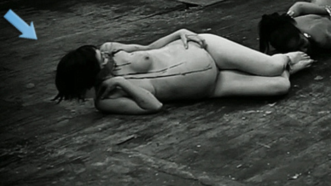 Pic: Katherine Templar in The Human Centipede II