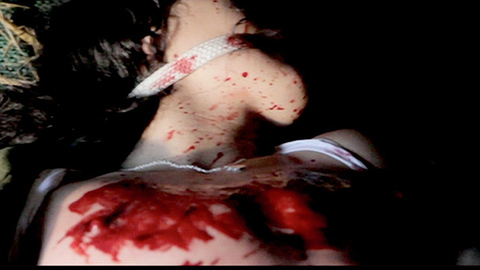 Pic: Vicky Araico in Zombie Diaries 2