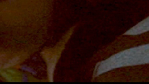 Pic: Briana Mackay in Chillerama