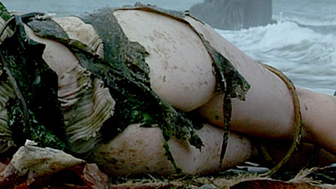 Pic: Karine Vanasse in Without Her