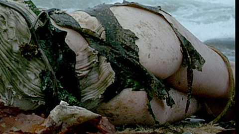 Pic: Karine Vanasse in Without Her