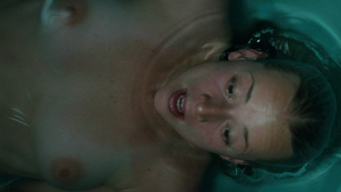 Pic: Karine Vanasse in Switch