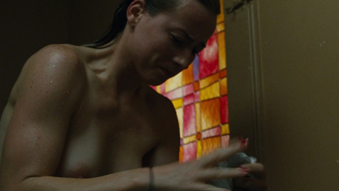 Pic: Karine Vanasse in Switch