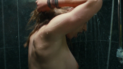 Pic: Karine Vanasse in Switch